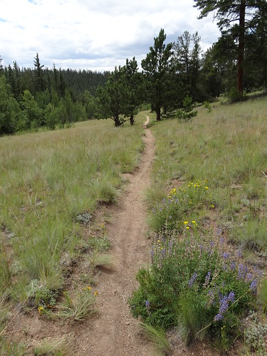 chfstew colorado coloradotrail segment5 hiking trail landscape