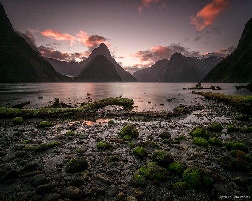 milford sound new zealand fiordland national park fiord fjord sky sunset rocks clouds water mountain