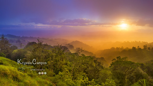 sunset nature sun sunlight fog sky trees beautiful clouds rainfo landscape no people costarica aeronaturalcr