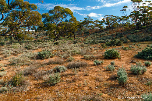 nationalpark bushwalking burra redbanksconservationpark dewnr landscape southaustralia deh