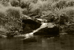 Exmoor Walk - Simonsbath-River Barle 13km