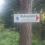 2017-06-14: Ruheplatz im Wald