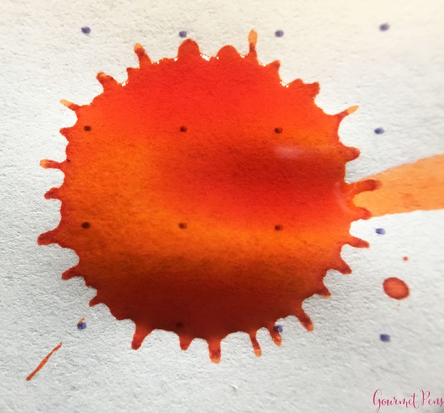 Ink Shot Review Abraxas Orange of Switzerland @laywines 9