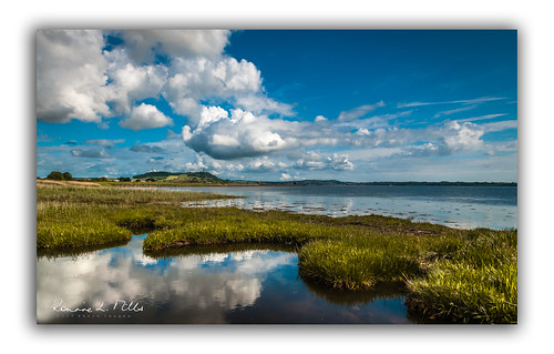 islandhill scrabo tower newtownards reflections pond marshes strangford lough dreaming wide awake big white clouds blue skies green grasses landscape nature