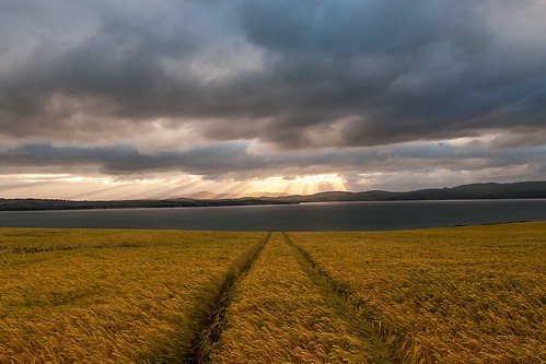 fields lines leadinglines water waterscape swilly clouds sunset sunrays donegal ireland explore explored