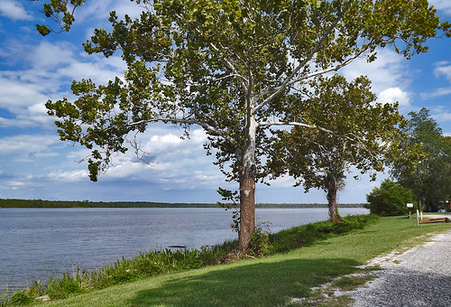 virginia va kingwilliamcounty usa rural pamunkeyindianreservation pamunkeyriver landscape river waterway