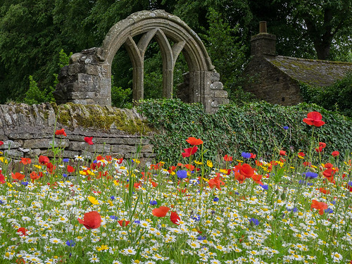 middletoninteesdale wildflowers landscape church teesdale summer northumbriainbloom poppies garden