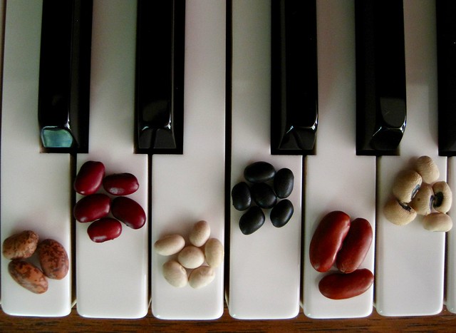 Musical Fruit