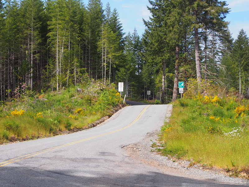 Dewatto–Holly Road/Bear Creek–Duwatto Road Junction: When I arrived at this intersection, a memory from a past ride was jogged and shouted at me to turn right.  The descent into Holly is not a fun one when you want to just go home.