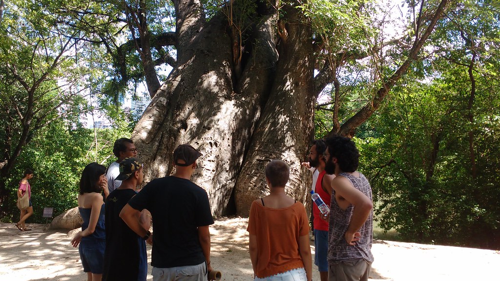Encontro Amigos do Baobá - 20.05.2017