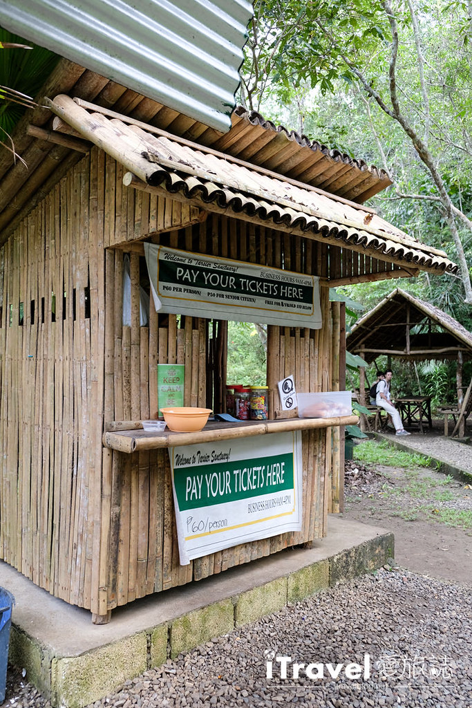 菲律宾薄荷岛眼镜猴保育中心 Tarsier Sanctuary (4)
