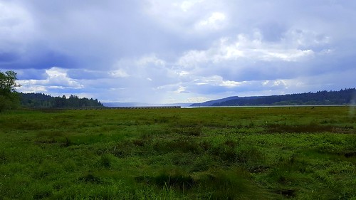 thelerwetlands belfair wetland hoodcanal galaxys6 saltmarsh cloudsstormssunsetssunrises pier grass