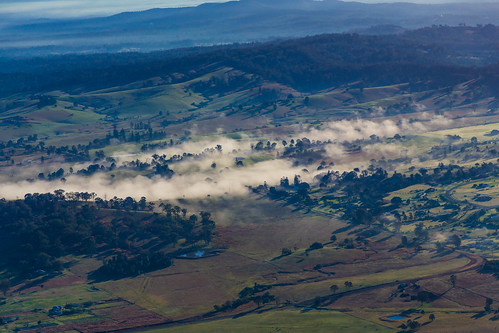 australia morning mist fog trees winter scenicrimregion queensland gleneagle オーストラリア au