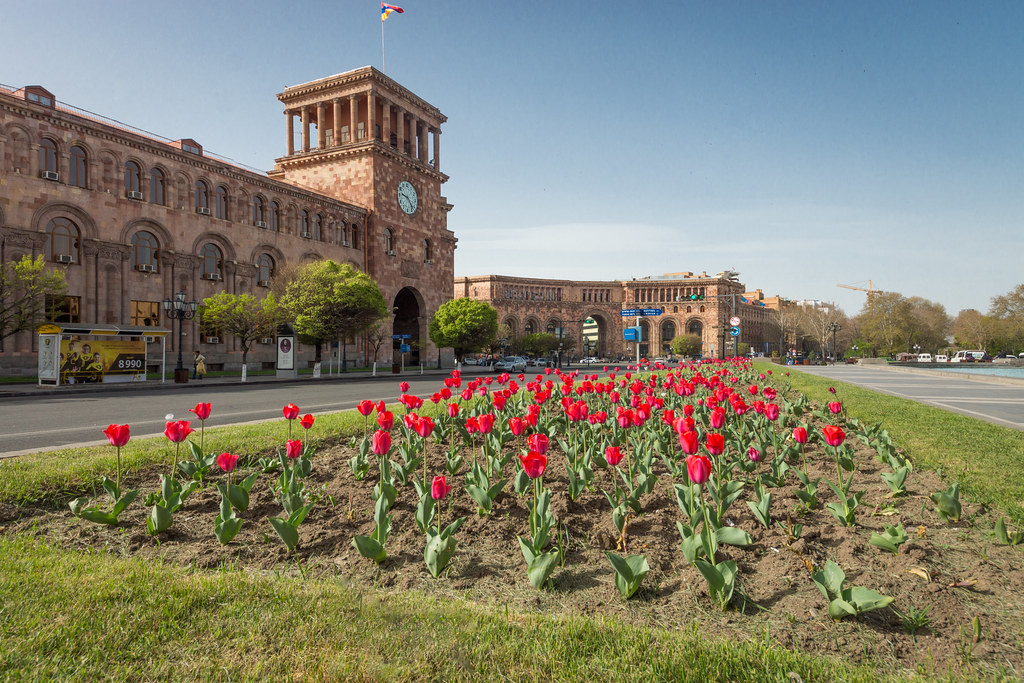 Les tulipes de la Place de la République