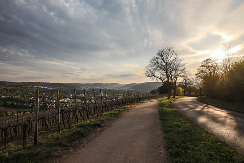 trier rheinlandpfalz deutschland de petrisberg aussicht weinberg sonnenuntergang sunset
