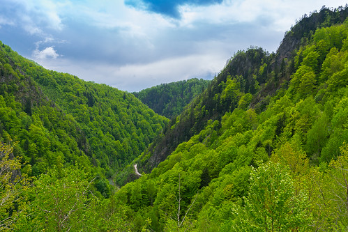 transilvânia transylvania carpathianmountains cárpatos transfaragasan roménia romania nikond5300 nikon18140mm landscape paisagem trees árvores outdoor