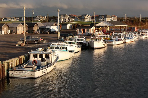 covehead pei canada harbour wharf fishing boats evening