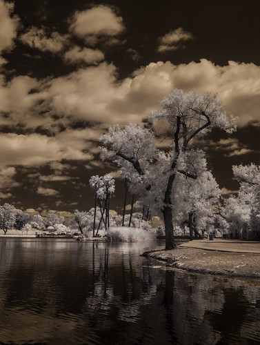 ir infrared infraredphotography convertedinfraredcamera santeelakes trees clouds water sky highcontrast reflections composition