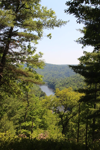 overlook scurryoverlook nct northcountrytrail cookforest hike forest woods trail trees gravellick clarionriver clarion river bend water