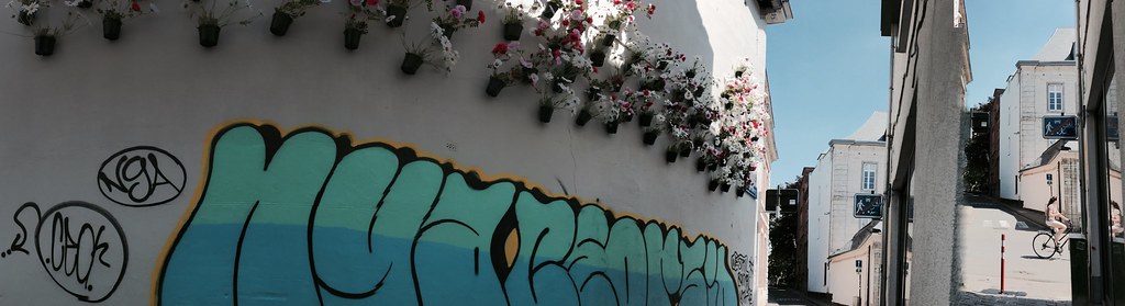 Flowers wall