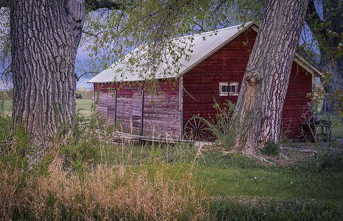 barn shed cottonwood plains frontrange colorado weldcounty mead agriculture farm ranch historicbuilding frontrangephotography coloradophotography farmphotography coloradolandscape
