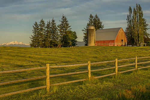 barn red farm dairy twin sisters twinsisters whatcom county whatcomcounty washingtonstate washington lynden picture image photo pictures images photos mountain fence