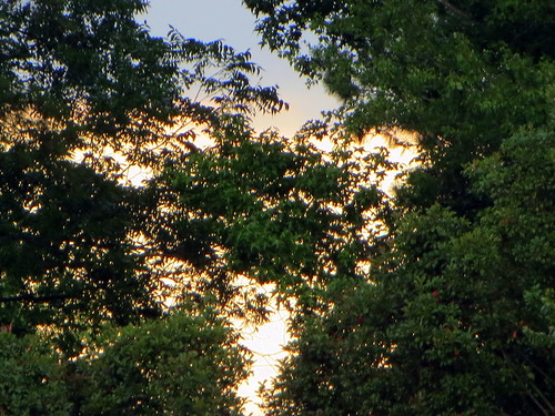 lumberton nc northcarolina robesoncounty outdoors outside nature evening canon powershot elph 520hs sky eveningsky clouds tree trees