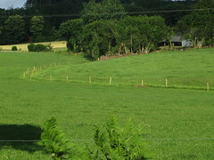 Fields - Photo of Guémené-sur-Scorff