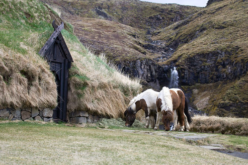 Stöng Commonwealth Farm in Thjórsárdalur. From Unique Things to See and Do in Iceland