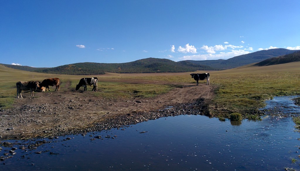 Reaching Tsetserleg, Mongolia