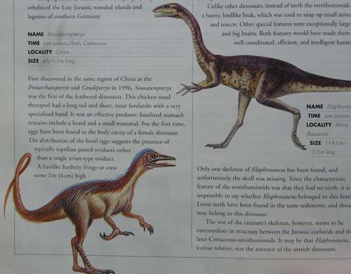 The Simon and Schuster Encyclopedia of Dinosaurs and Prehistoric Creatures