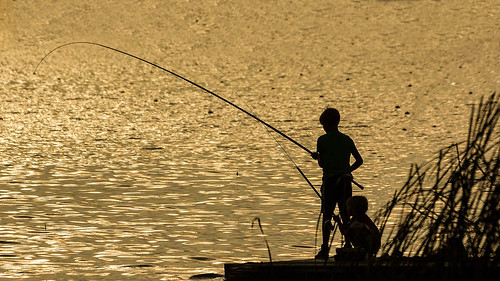 lake lago varese silohuette sunset tramonto people fishing