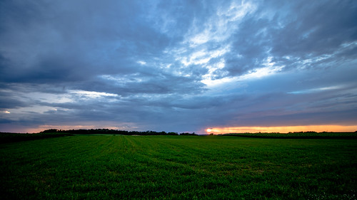 springfield sunset trees middleton wisconsin unitedstates farm corn sun