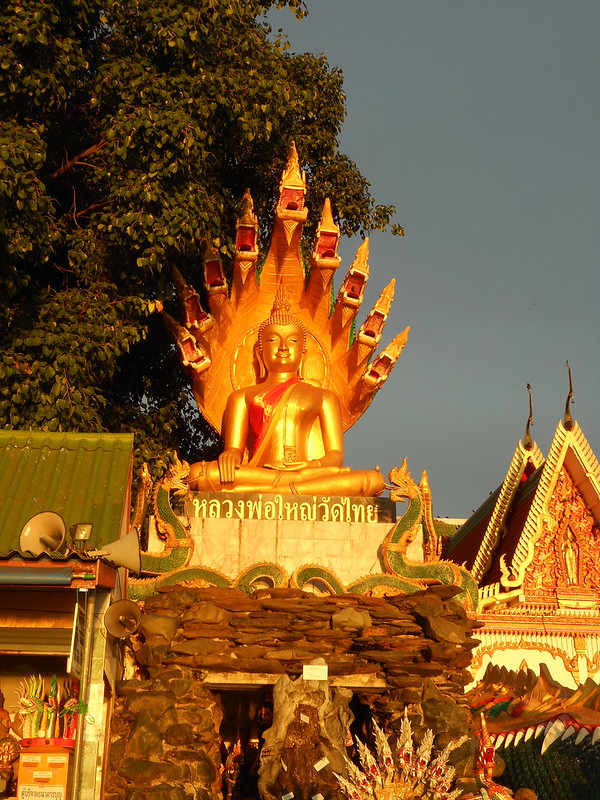 Buddha idol under naga