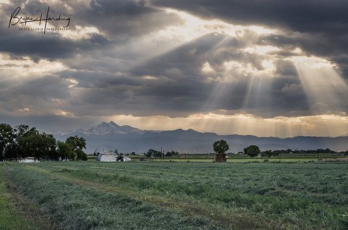 rays crops farm frontrange longspeak rockymountains mead weldcounty alfalfa ranch agriculture foothills coloradophotography coloradolandscapephotography farmphotography frontrangephotography landscape