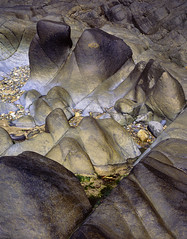 Henry Moore Rocks, Velvia 50 5x4