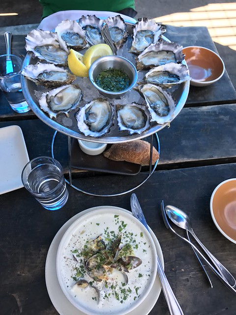 Napa July 13 2017 044 oysters