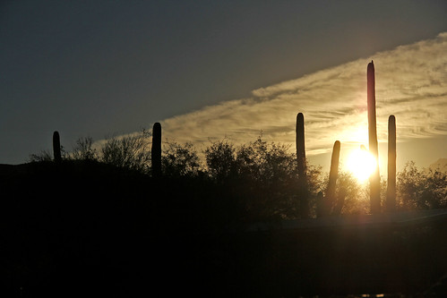 sunrisephotography sunrise cactus cloudsandsky clouds cloudsandmountains sunandclouds sun arizona tucsonarizona