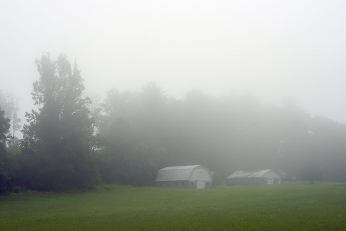 fog mist nebel northcarolina trees landscape rural pastoral