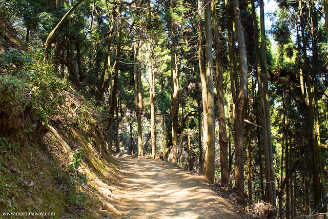 Monkey Park Iwatayama, Arashiyama