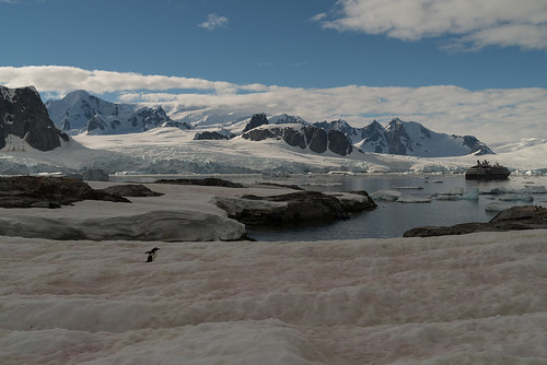 antarctica petermannisland bluesky ice mountain sea antarcticaantarcticpeninsula aq