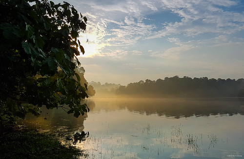 macritchiereservoir singapore lake reservoir water sunset mist fog blue samsung galaxy s7