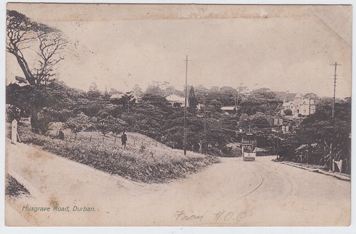 durban landscape correspondence postcards 1900s