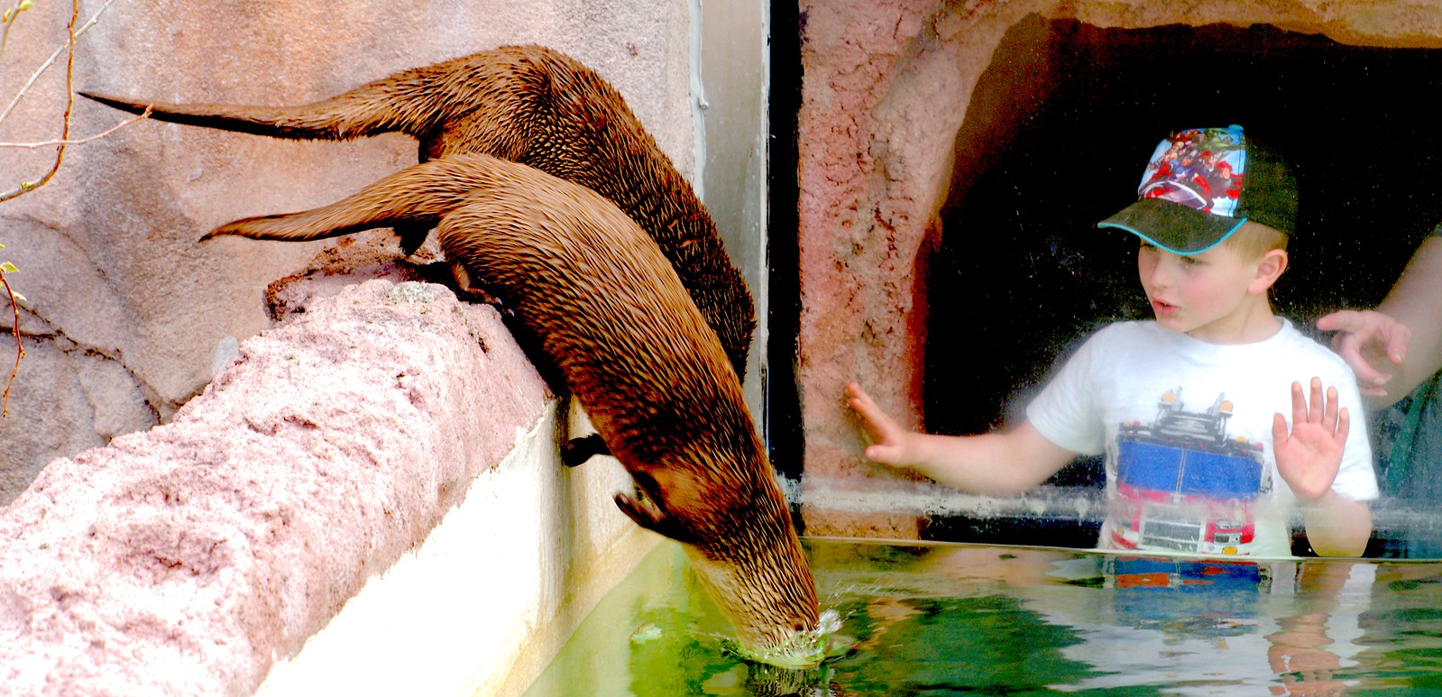 People and Otters_8