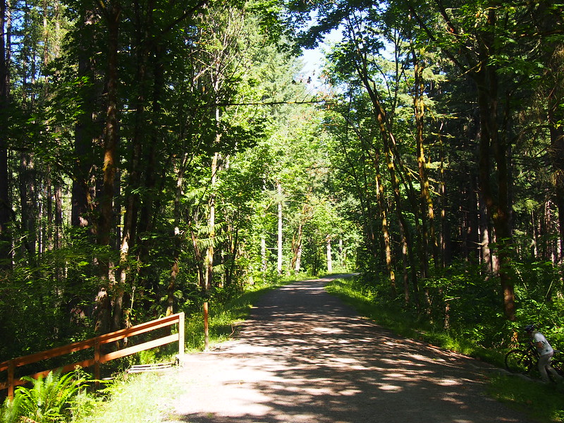 Cedar to Green River Trail