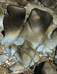 Henry Moore Rocks