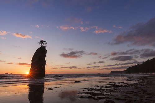 sea ocean pacific beach shore coast seastack stack olympic sunset