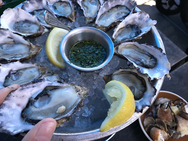 Napa July 13 2017 048 a dozen oysters