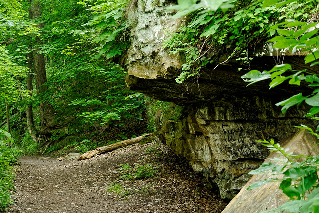 Rocks Along the Trail