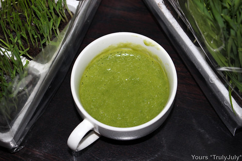 Wheatgrass Smoothie: It tastes as green as it looks! 